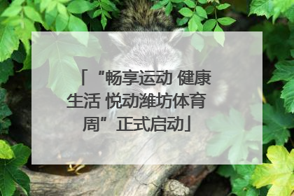 “畅享运动 健康生活 悦动潍坊体育周”正式启动